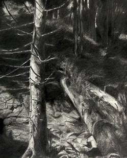 Quelle: Hans-Gerhard Wind